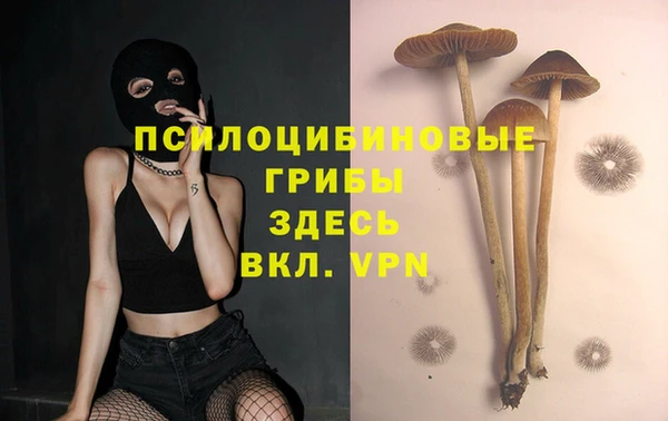 первитин Новокубанск