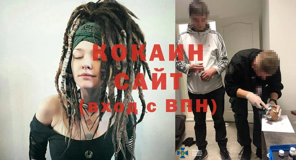 индика Краснотурьинск