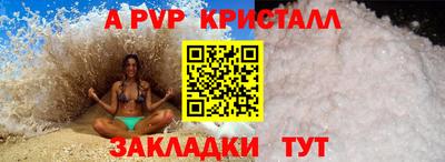 стафф Гай