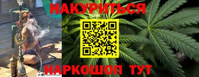 мяу мяу мука Гатчина