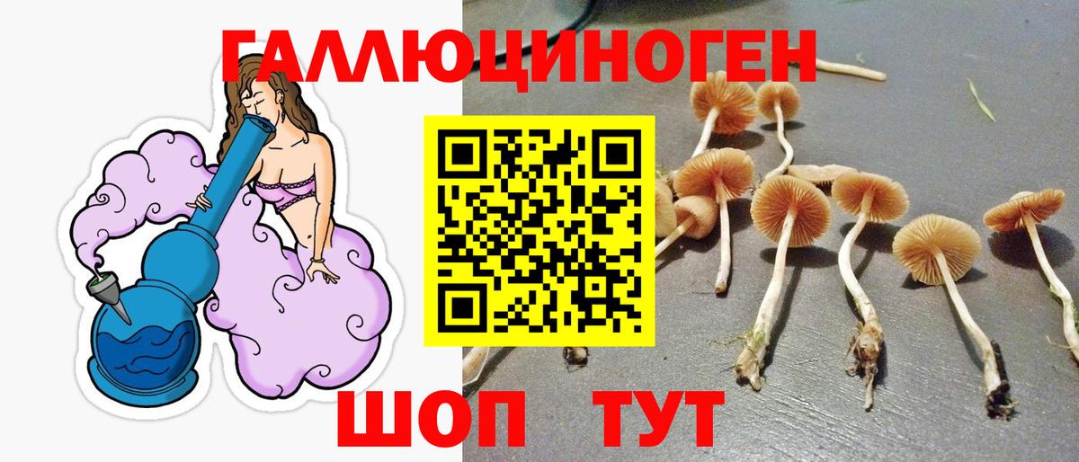 Галлюциногенные грибы GOLDEN TEACHER  Луга 