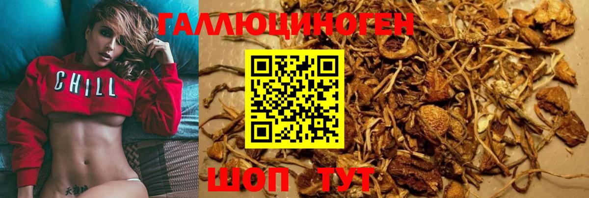 Луга  Галлюциногенные грибы Psilocybe  Вход с VPN 