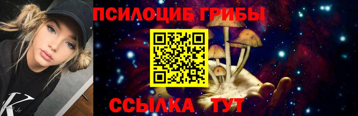 Луга  Псилоцибиновые грибы GOLDEN TEACHER  Вход с VPN 